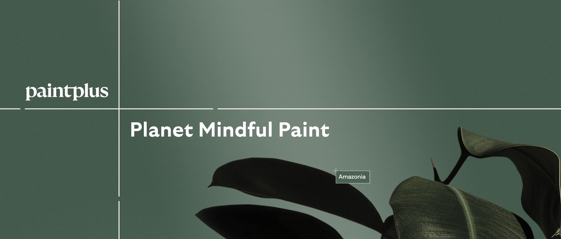 Hero Banner for PaintPlus
