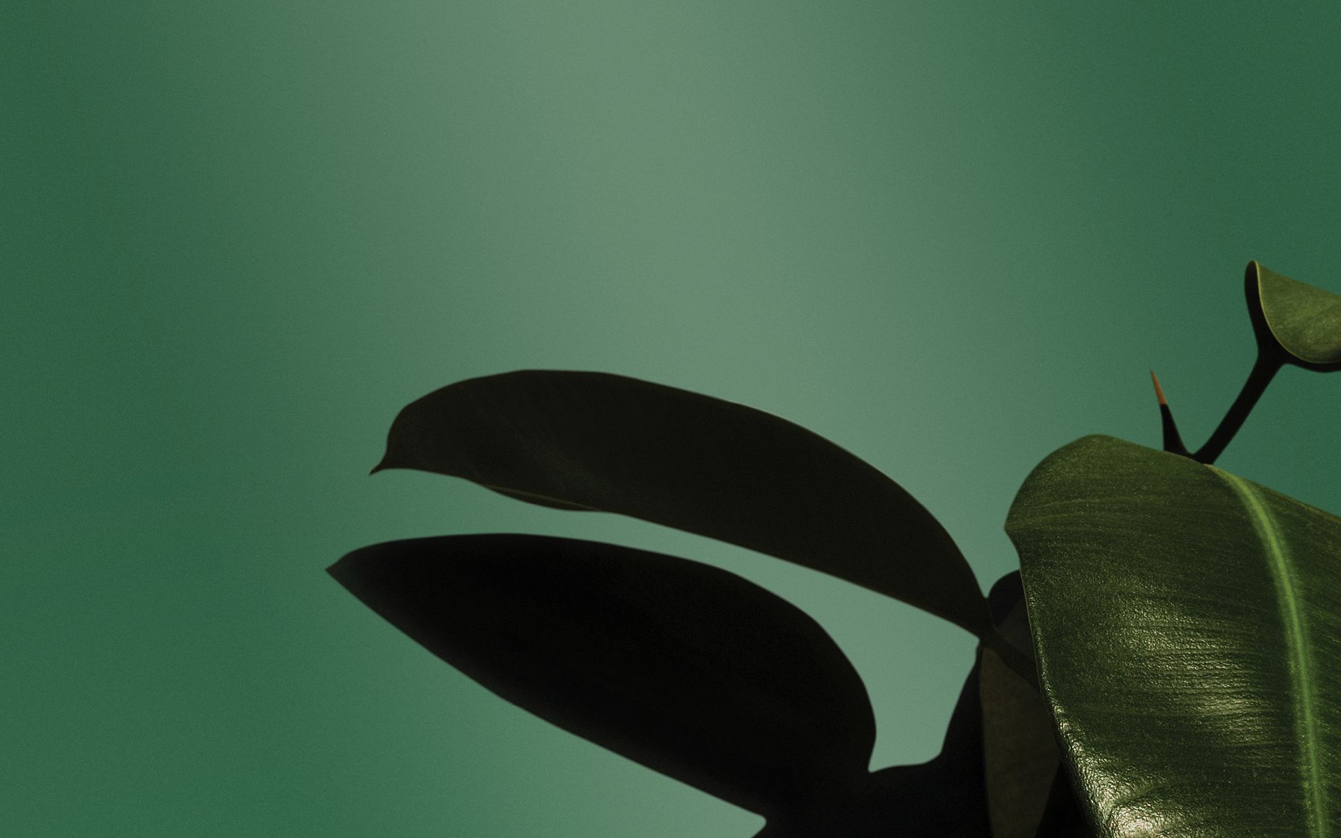 Hero Banner for PaintPlus