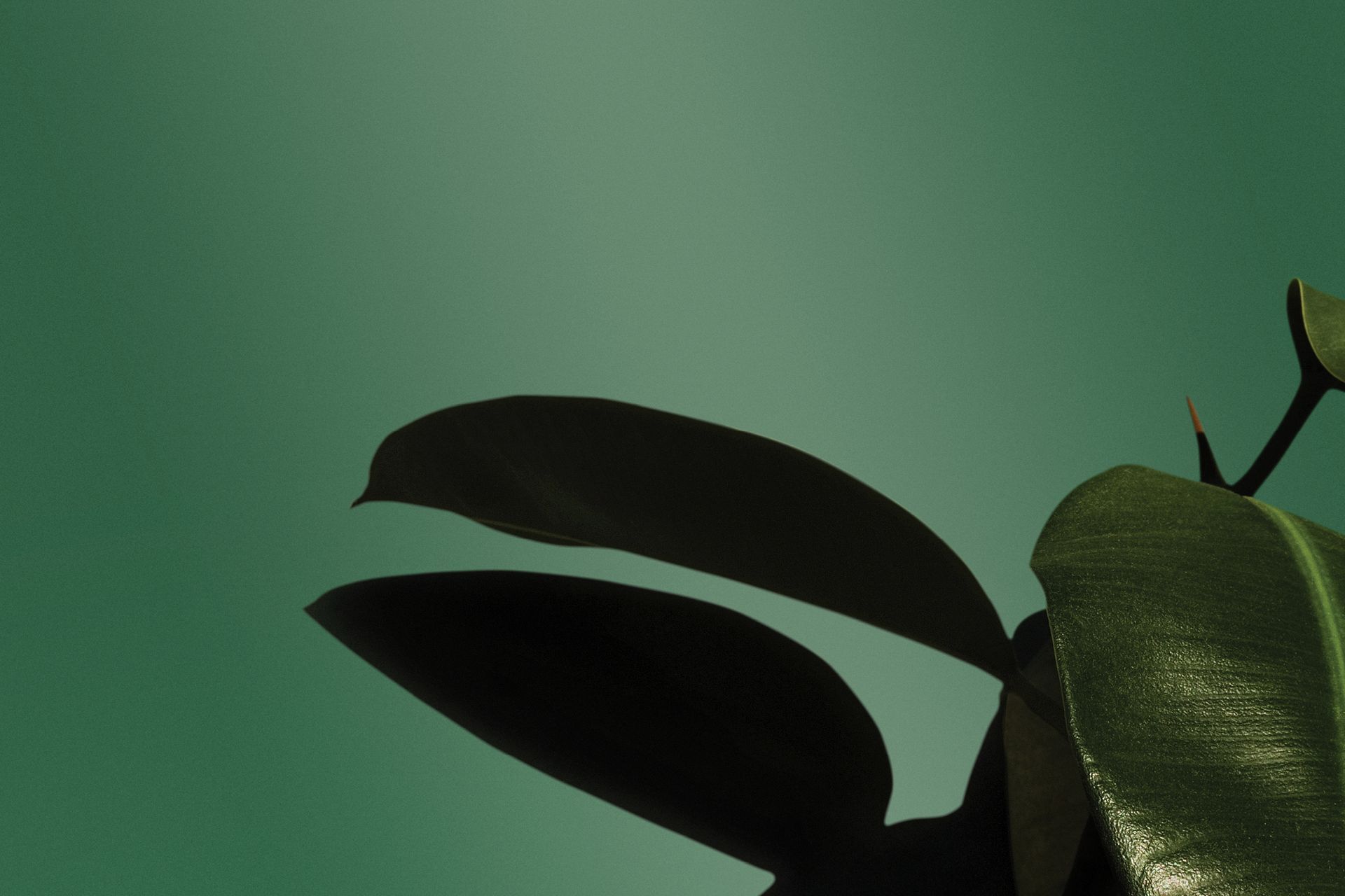 Hero Banner for PaintPlus