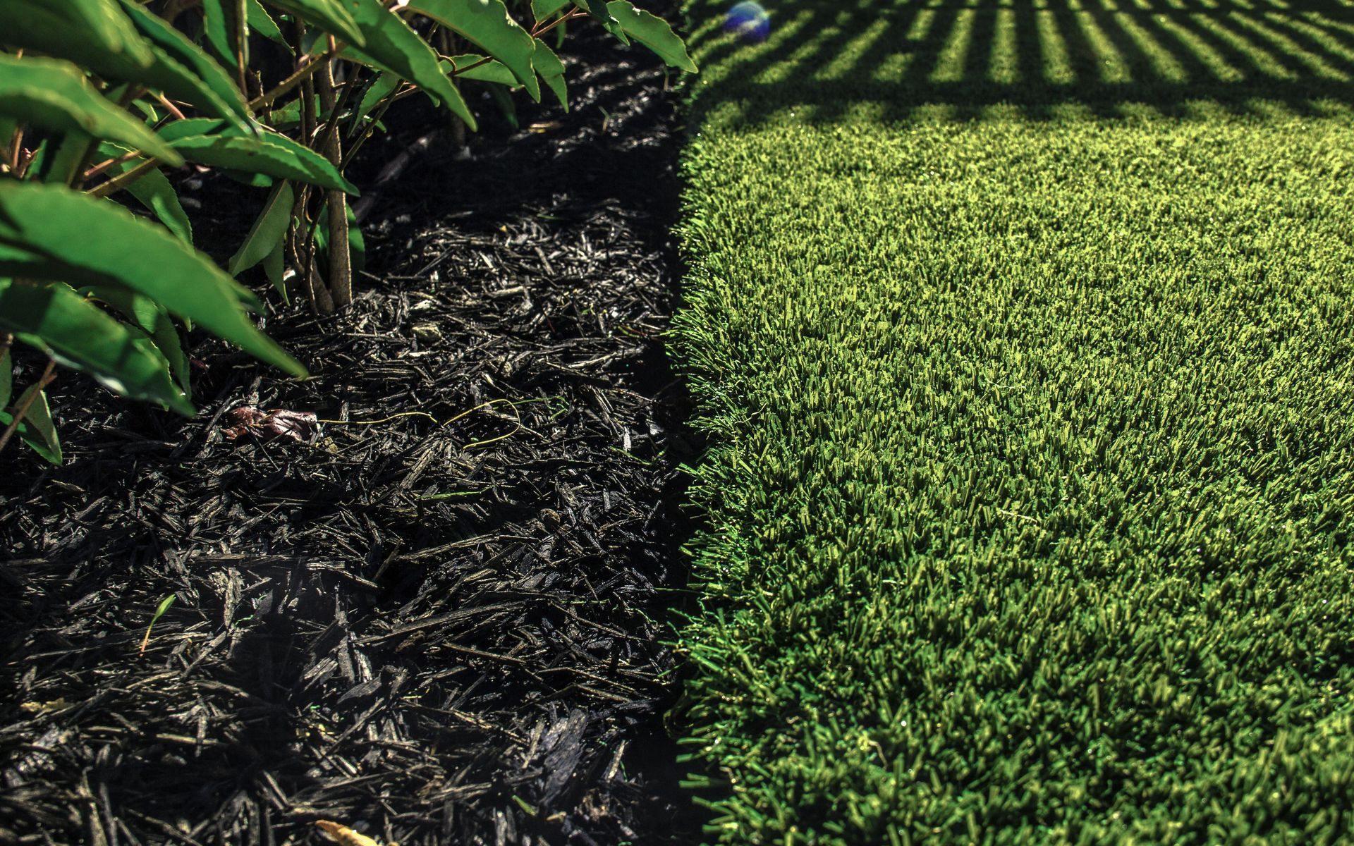 Supporting Image 2 for SmartGrass