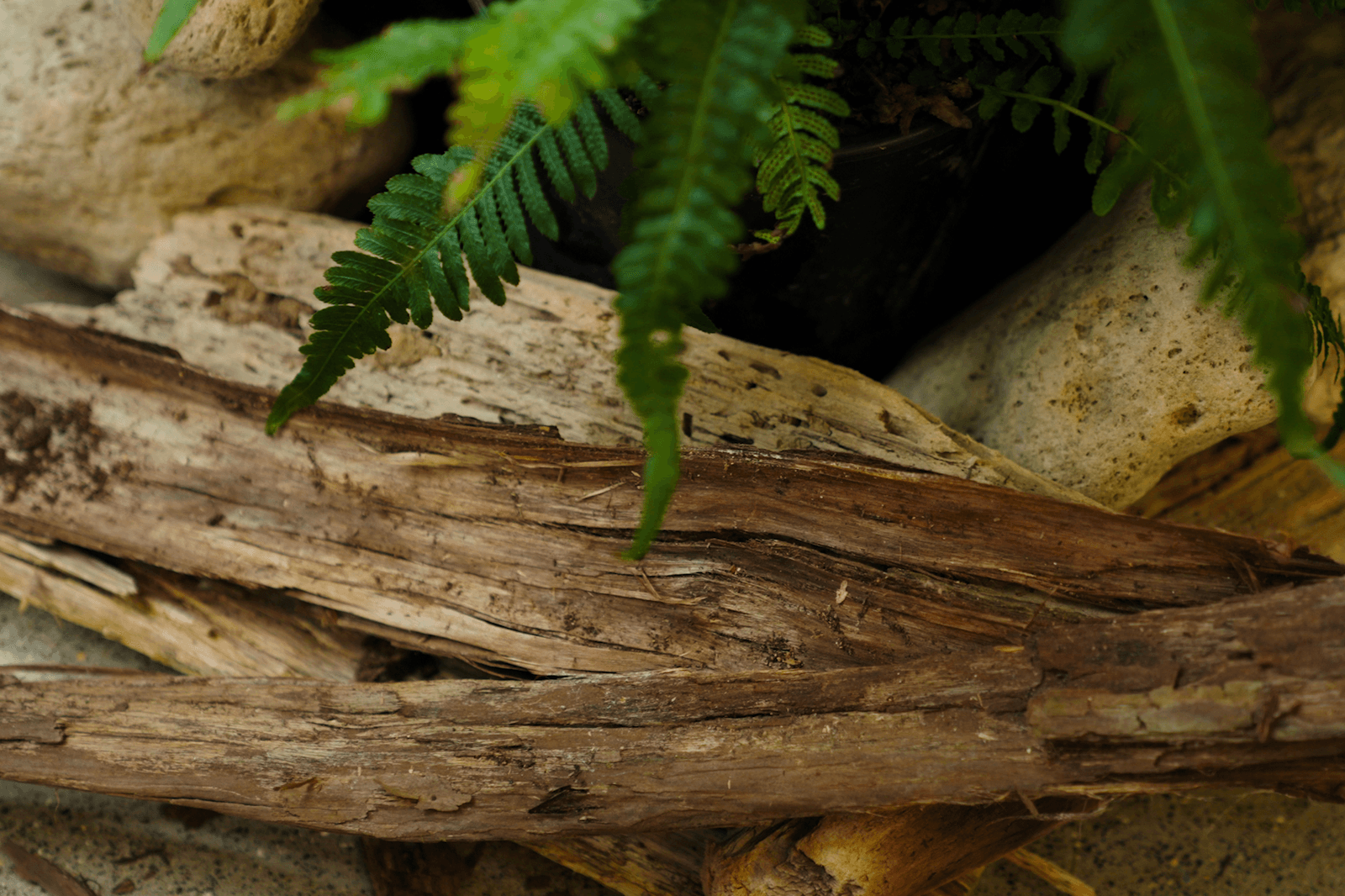 Transforming Urban Spaces with GreenAir