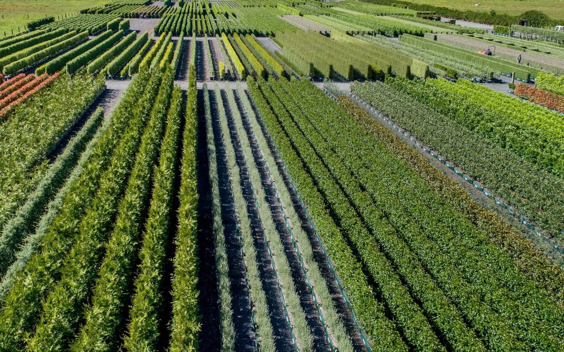 Supporting Image 4 for Twining Valley Nurseries