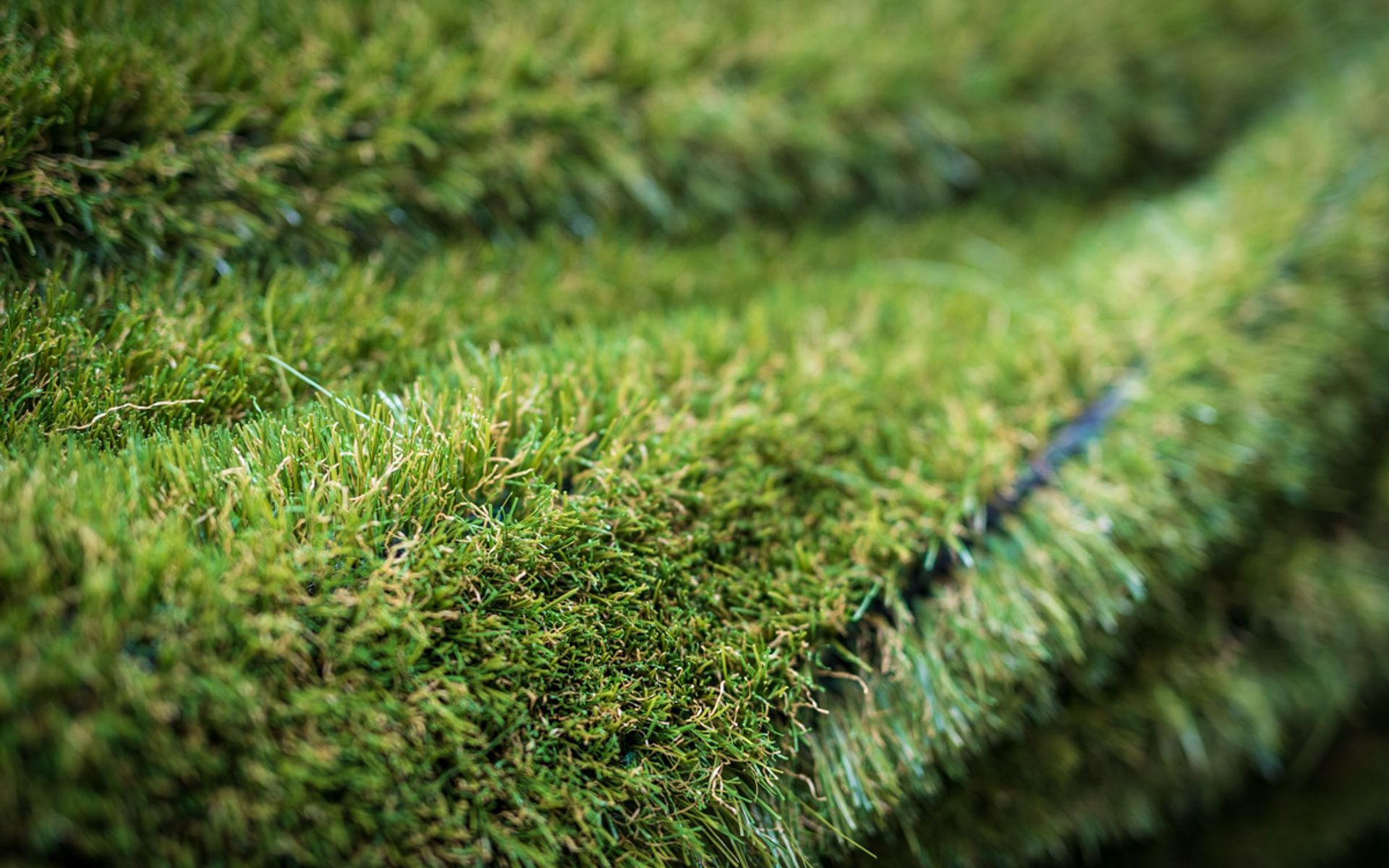 Supporting Image 4 for TigerTurf