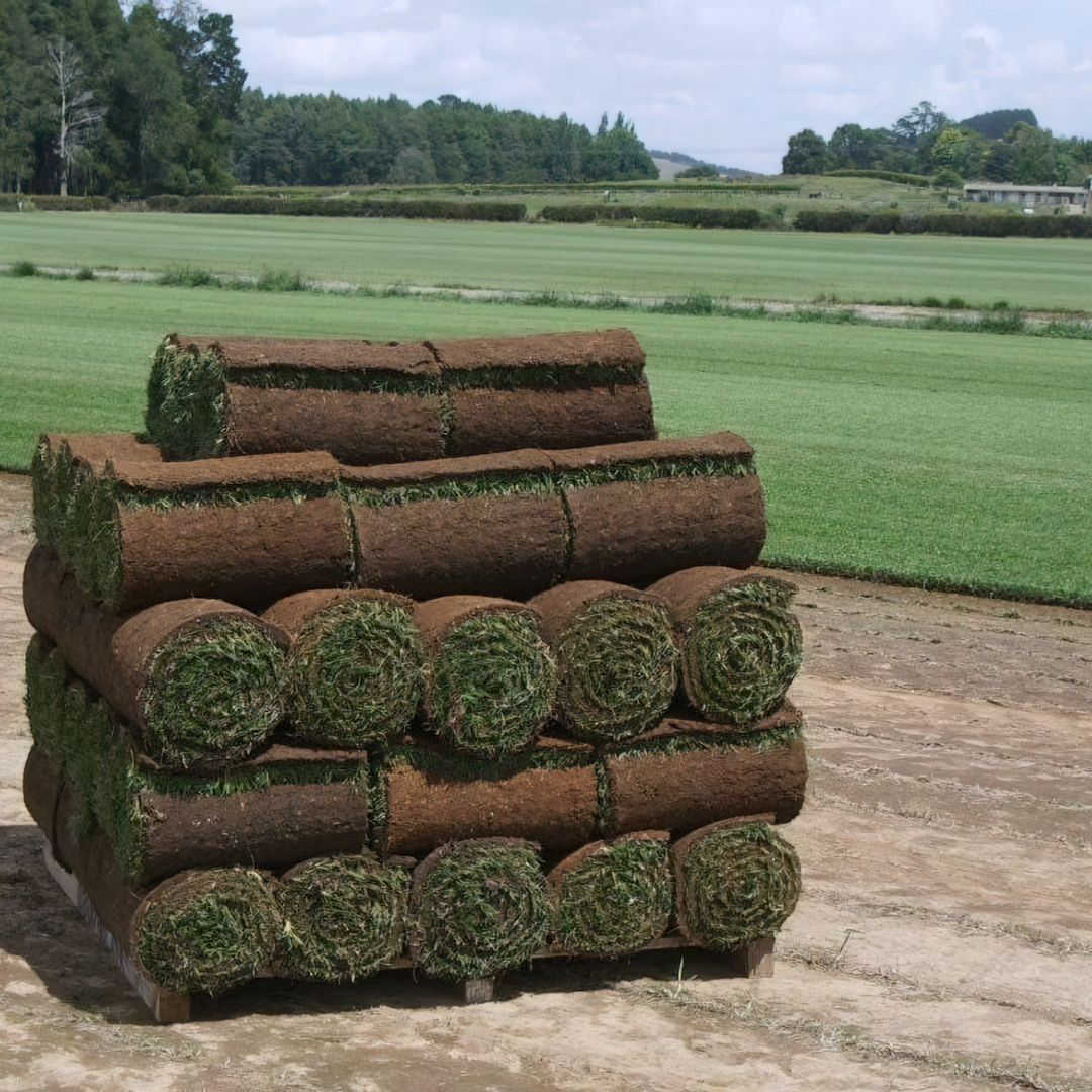 ROLAWN