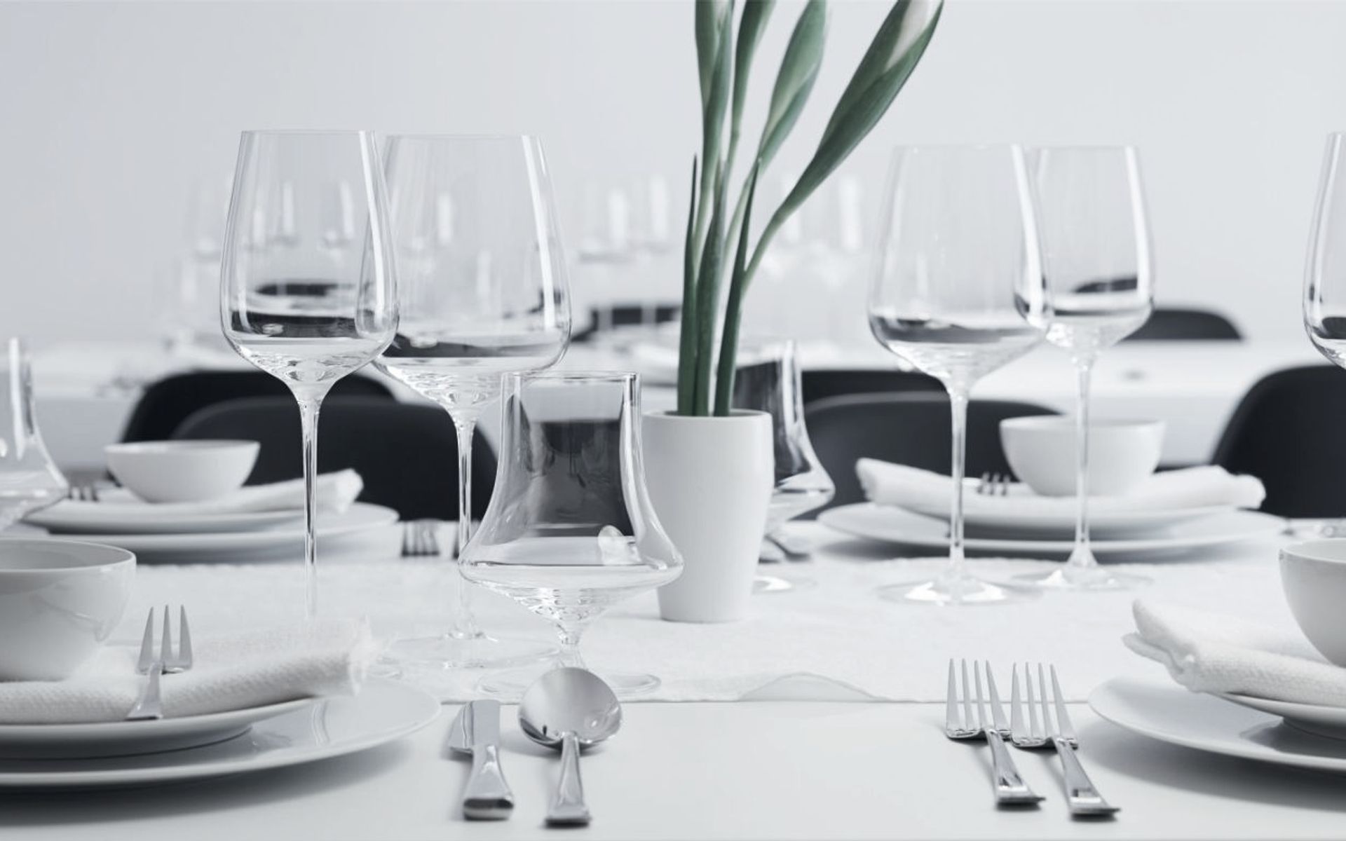 Supporting Image 1 for The Studio of Tableware