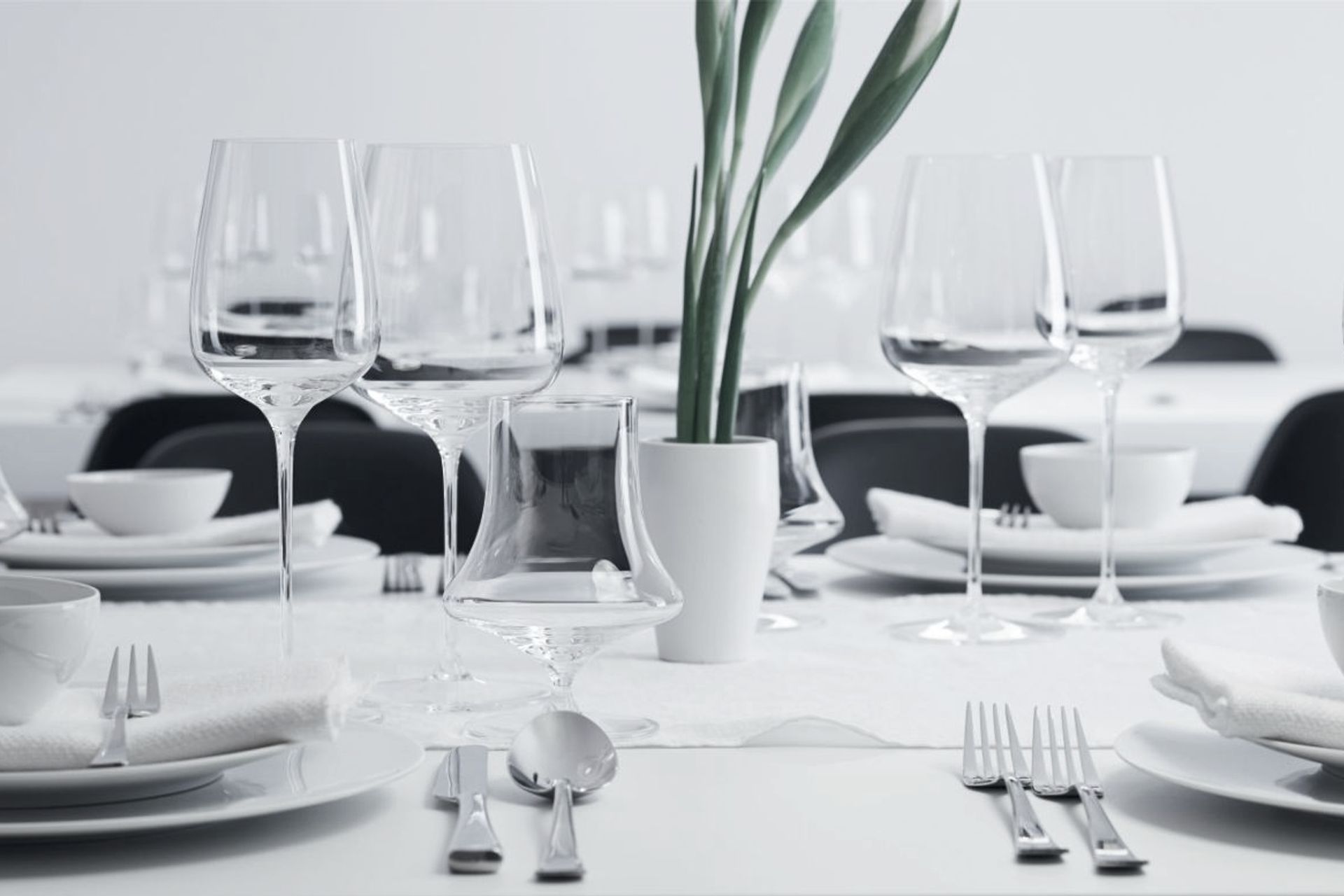 Supporting Image 1 for The Studio of Tableware