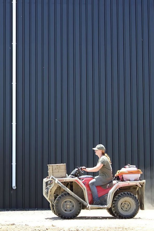 Hansen Timber