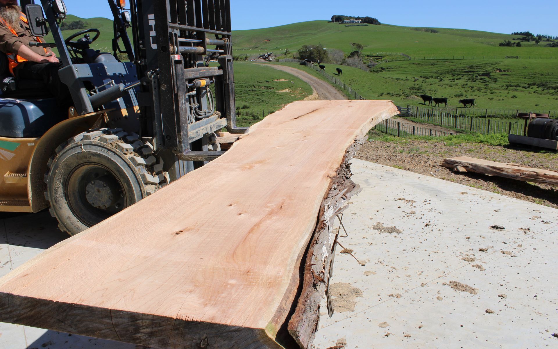Supporting Image 5 for Hansen Timber
