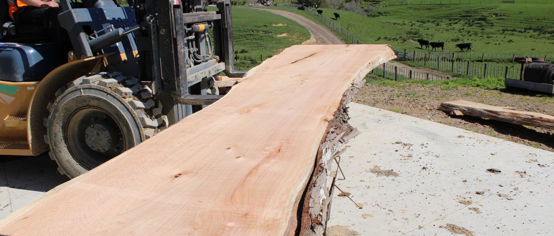 Supporting Image 5 for Hansen Timber
