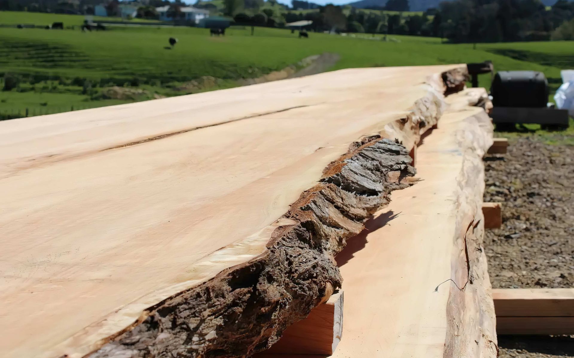 Supporting Image 2 for Hansen Timber