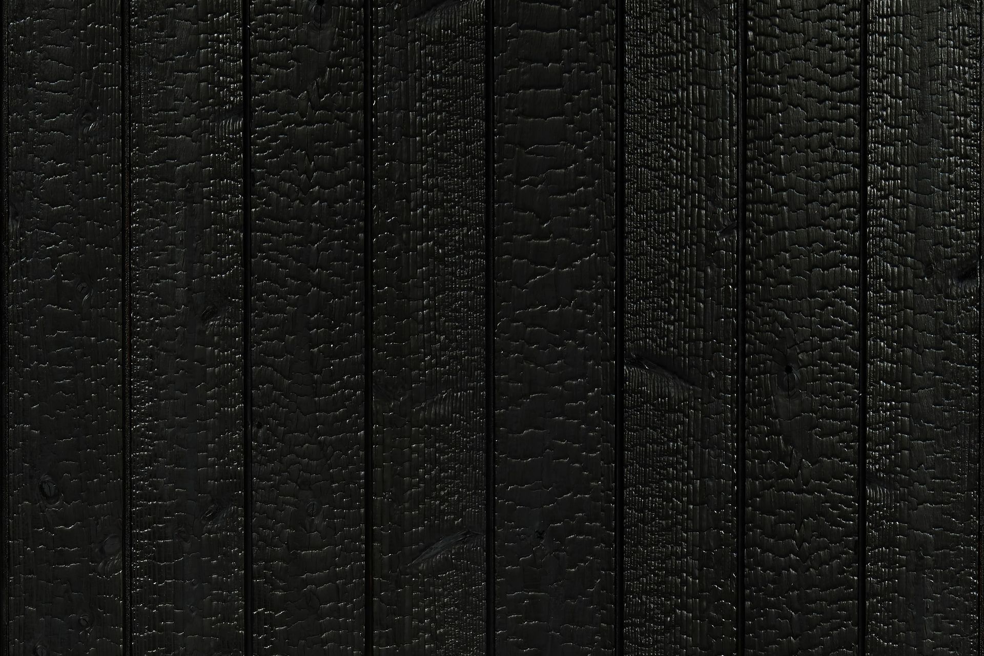 Supporting Image 6 for Sugi