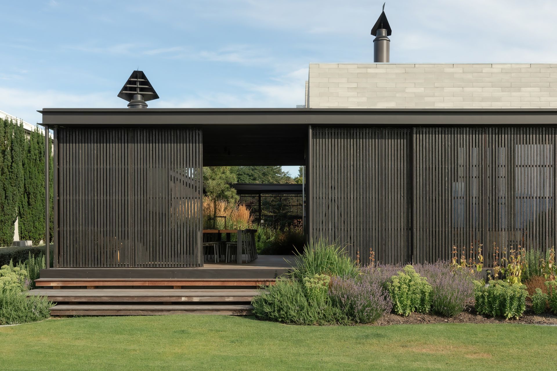 Supporting Image 1 for Sugi