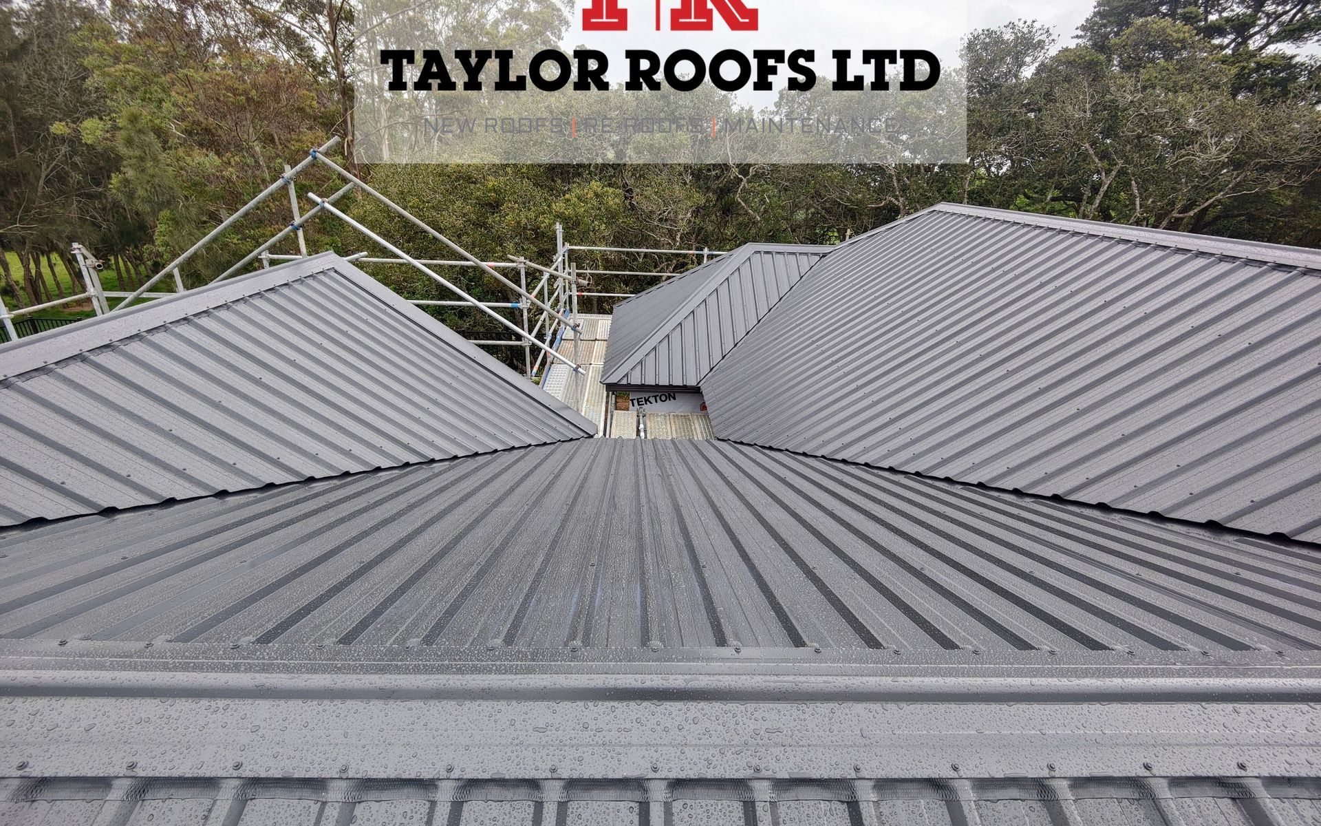 Supporting Image 5 for Taylor Roofs