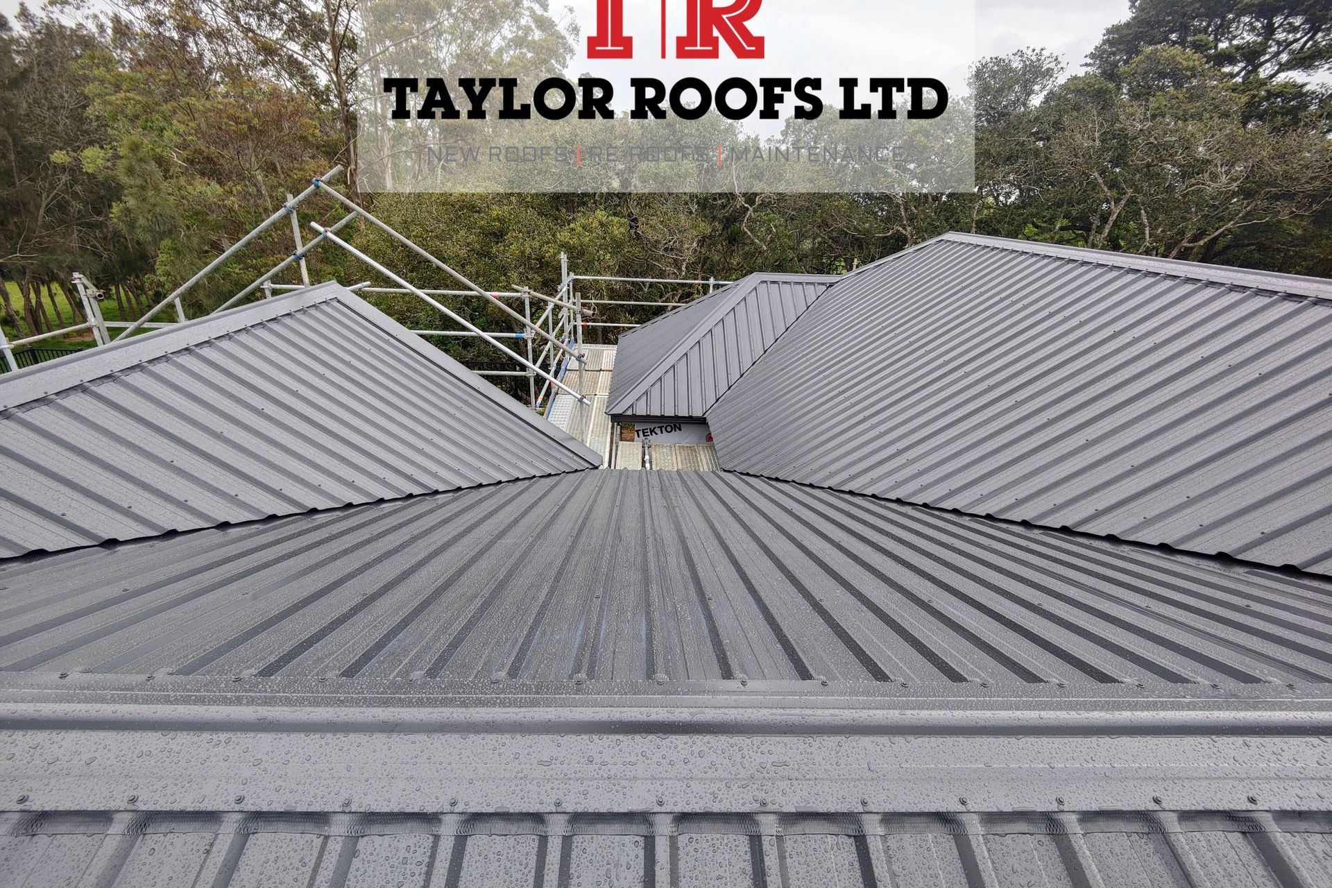 Supporting Image 5 for Taylor Roofs