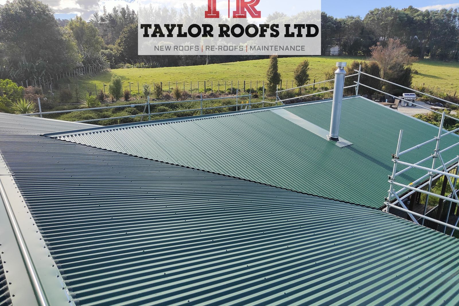 Taylor Roofs