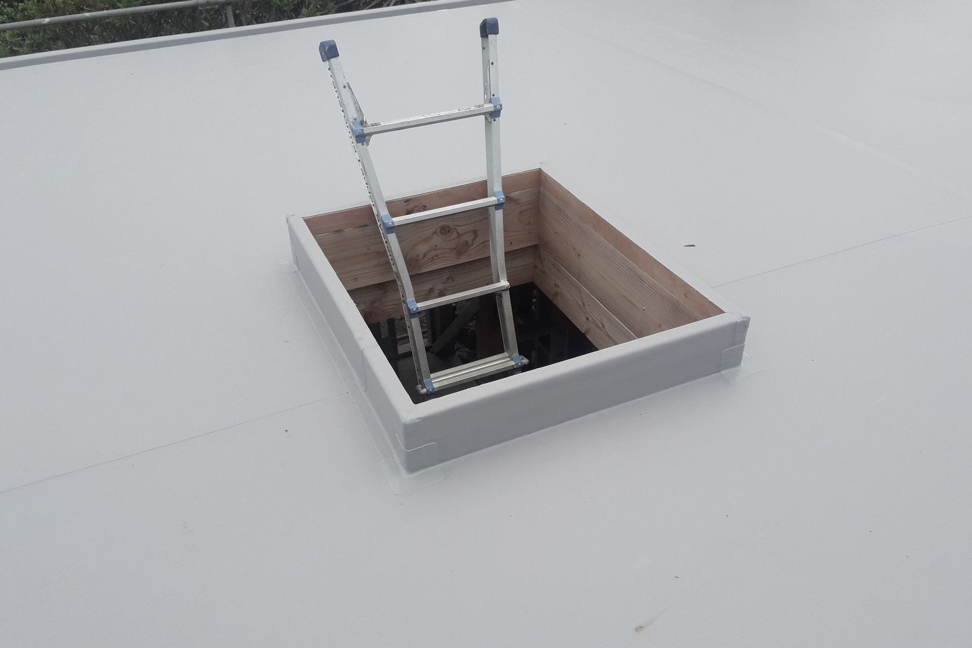 Hero Banner for Adhesion Sealing