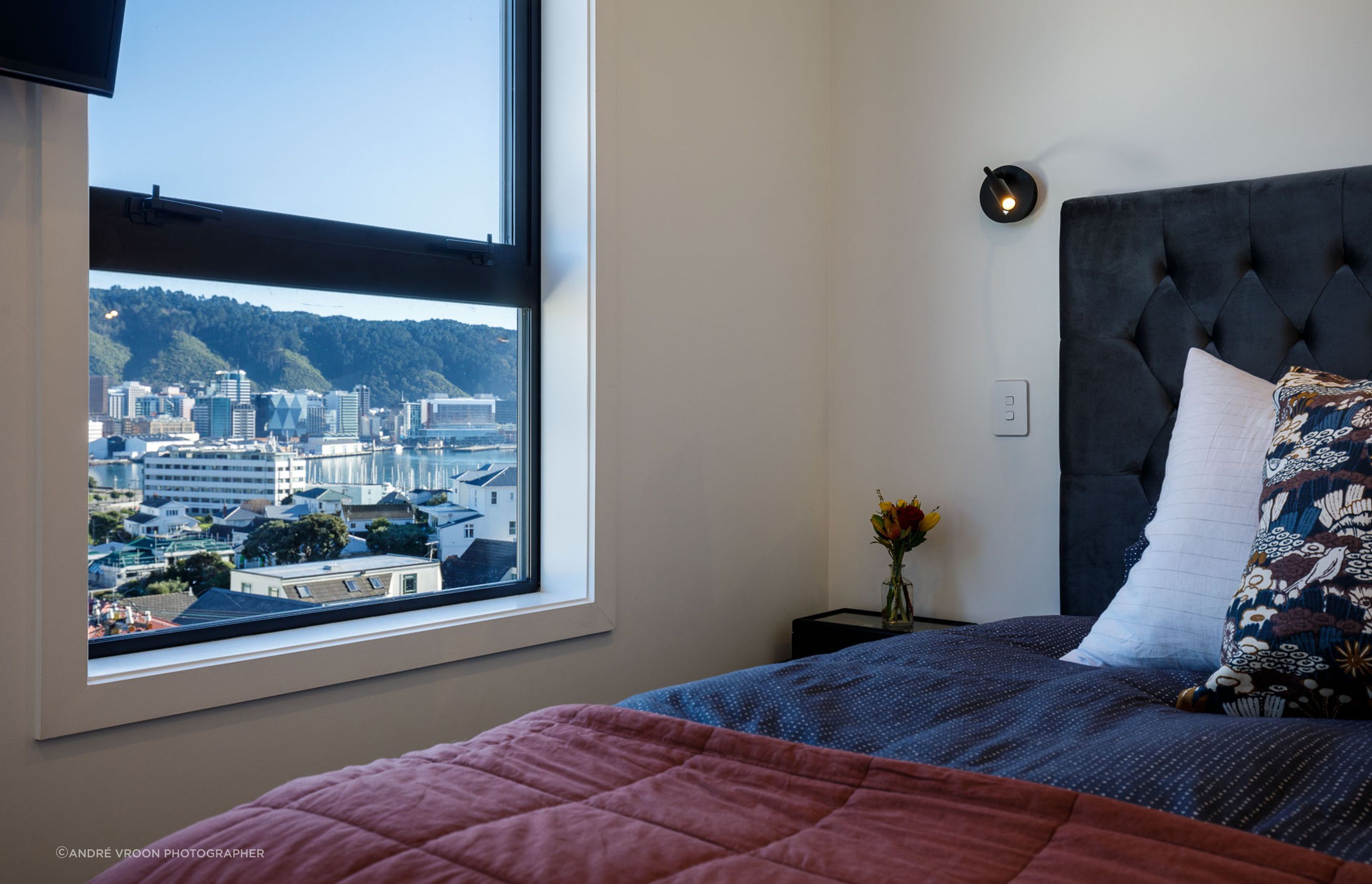 Mt Victoria renovation