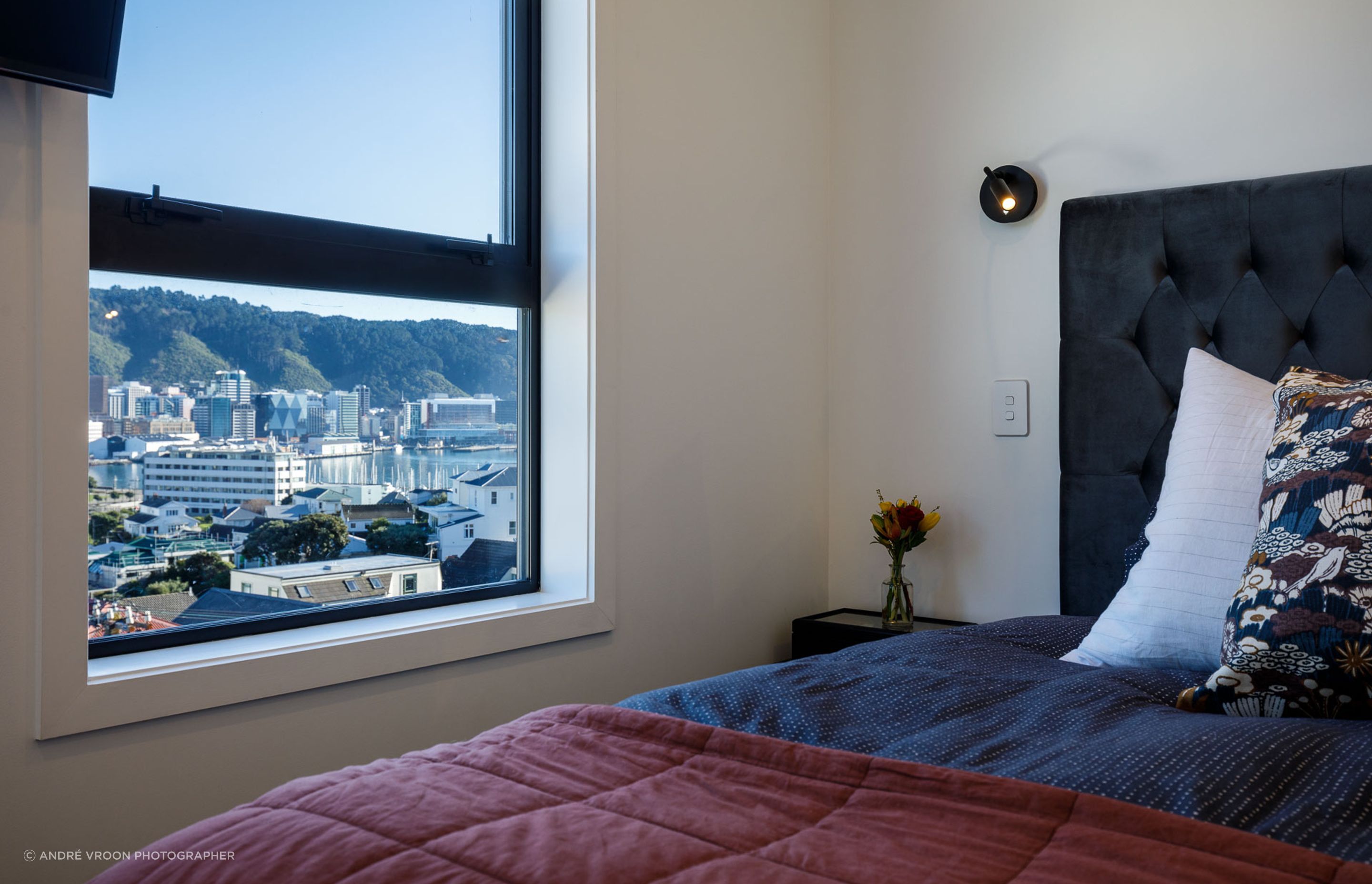 Mt Victoria renovation