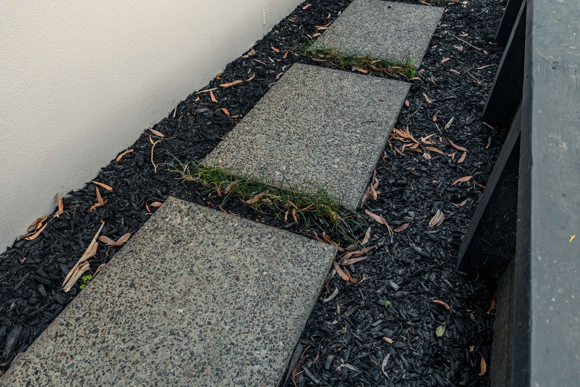 Glendowie Renovation