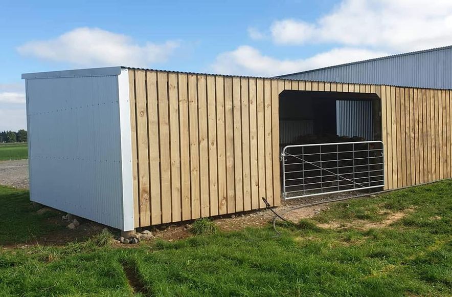 Our Recent Projects