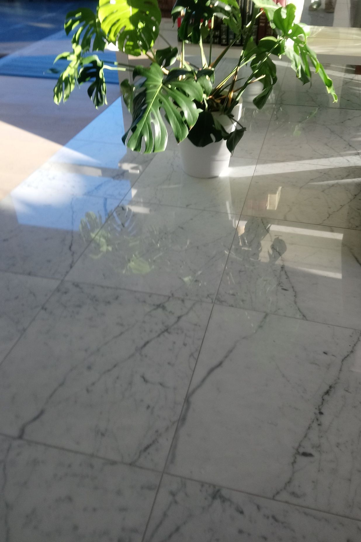 Carrara Marble floor restoration