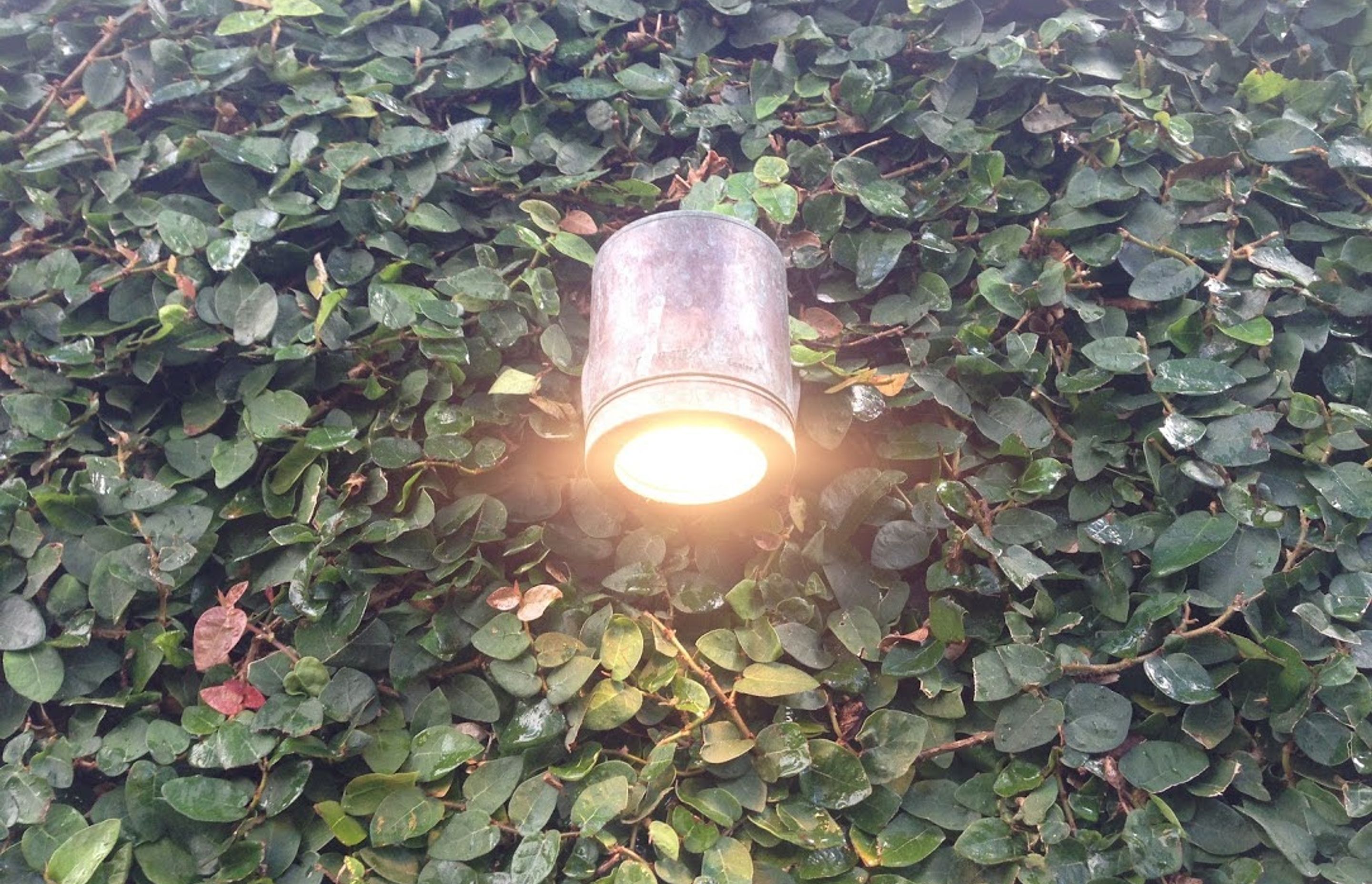 Our Lighting Work