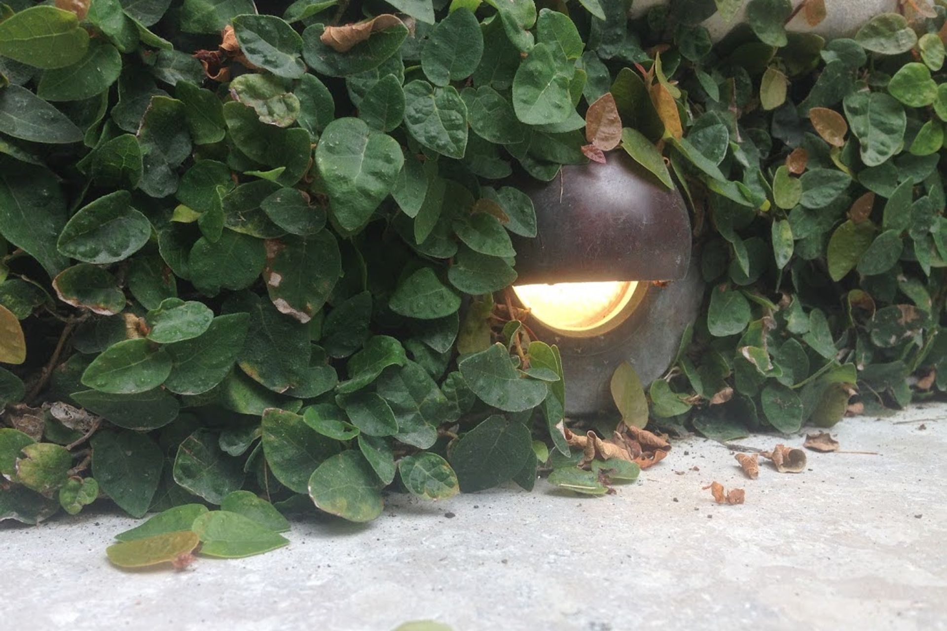 Our Lighting Work