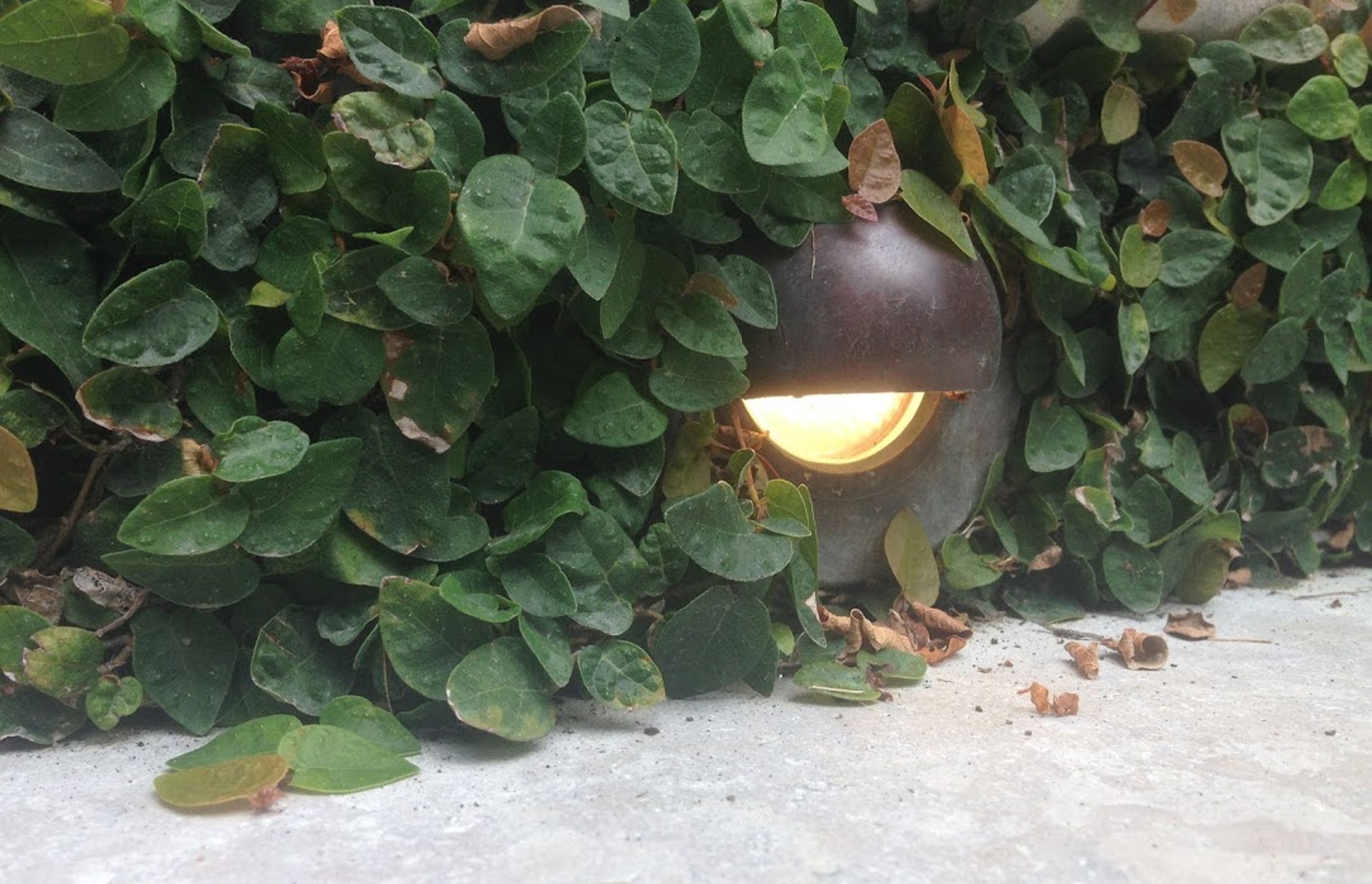 Our Lighting Work