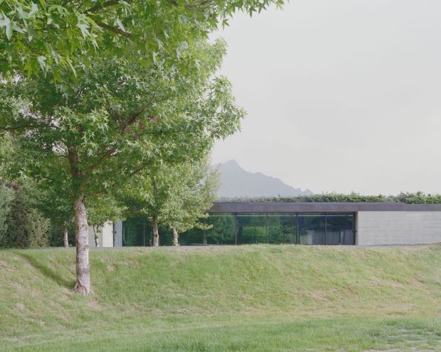 A low, modern building partially embedded in a gently sloping grassy site. The facade combines extensive dark-framed glazing with a long grey masonry wall and a planted green roof edge. Mature leafy trees screen the foreground, while hazy mountains are visible behind the building. The composition is calm and landscape-integrated, with a restrained contemporary architectural character.