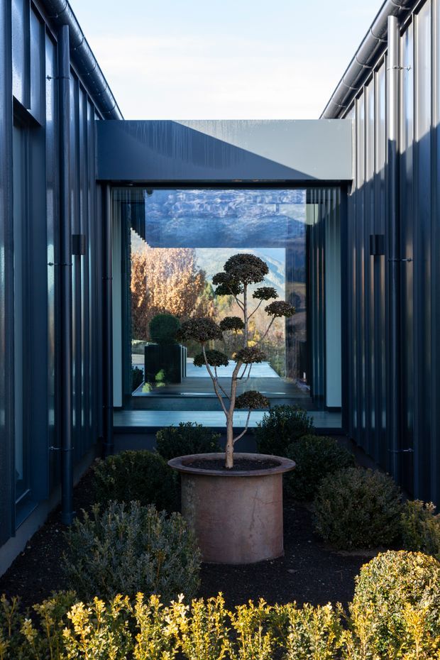 A narrow landscaped courtyard or passage between dark corrugated-metal-clad building wings. The space features a central potted topiary tree, clipped shrubs, dark mulch, and a glazed architectural opening framing distant mountains and trees. Strong linear perspective, reflective glazing, exposed roof gutters, and deep blue-grey metal cladding create a formal, contemporary exterior composition.