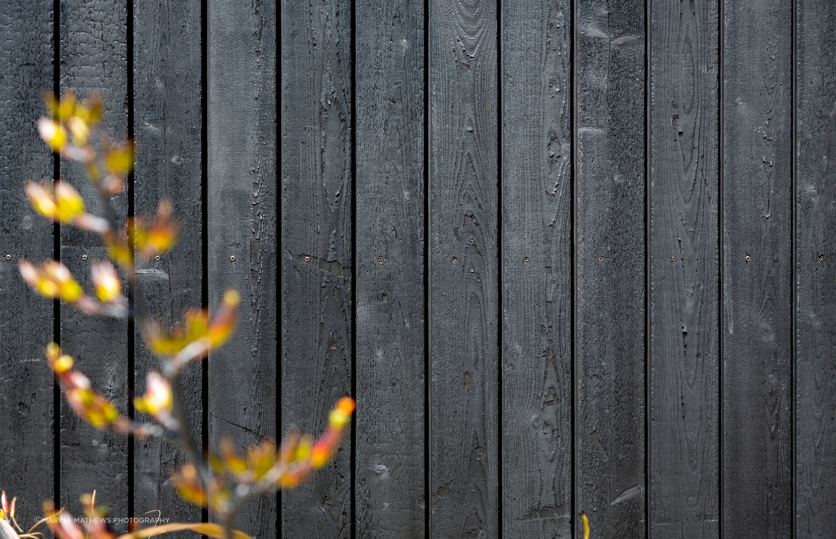 13BullridgePlaceWanaka054.jpg