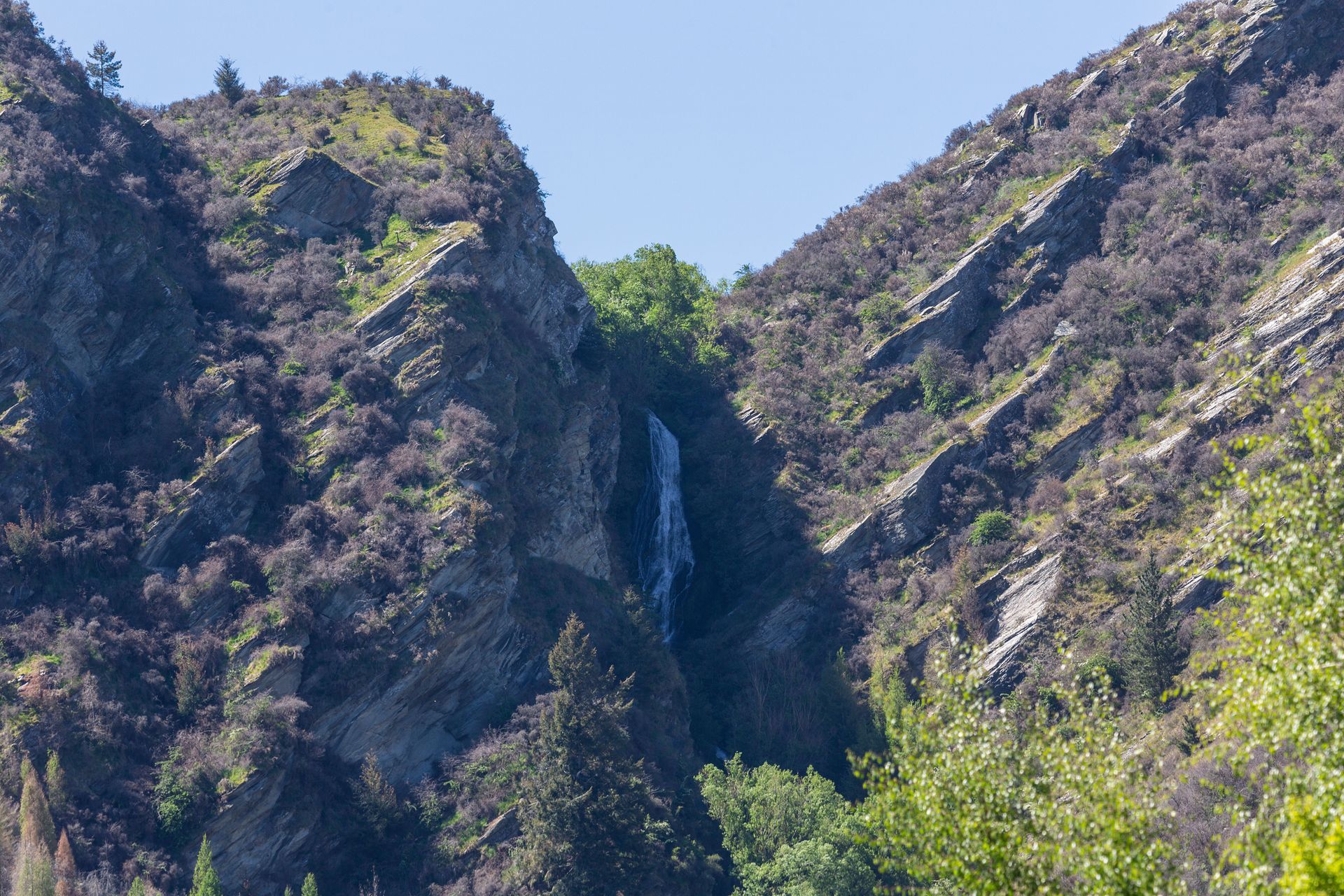 Moven Ferry | Queenstown
