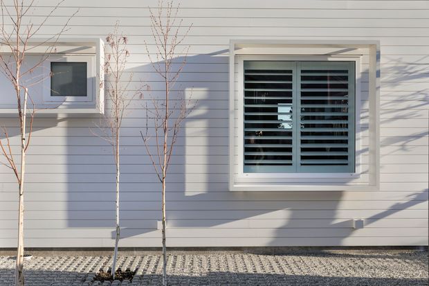 Close-up exterior view of a light grey horizontal weatherboard wall with two white-trimmed windows. The larger window has dark horizontal louvres or shutters, while the smaller square window has dark glazing. Young leafless trees and a patterned gravel or concrete strip sit in front of the facade, with strong sunlight casting shadows across the wall.