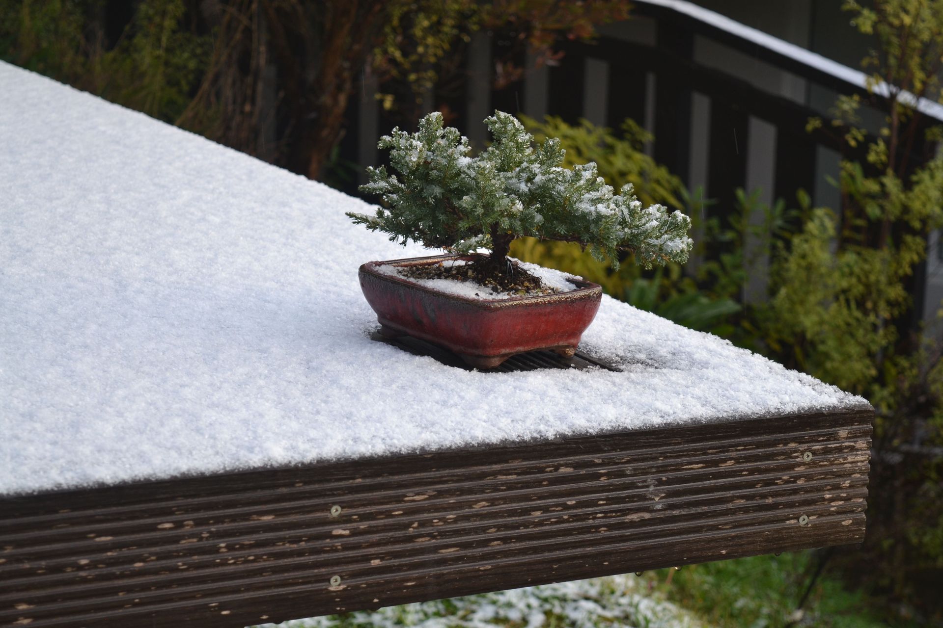 29 Ramahana Rd House