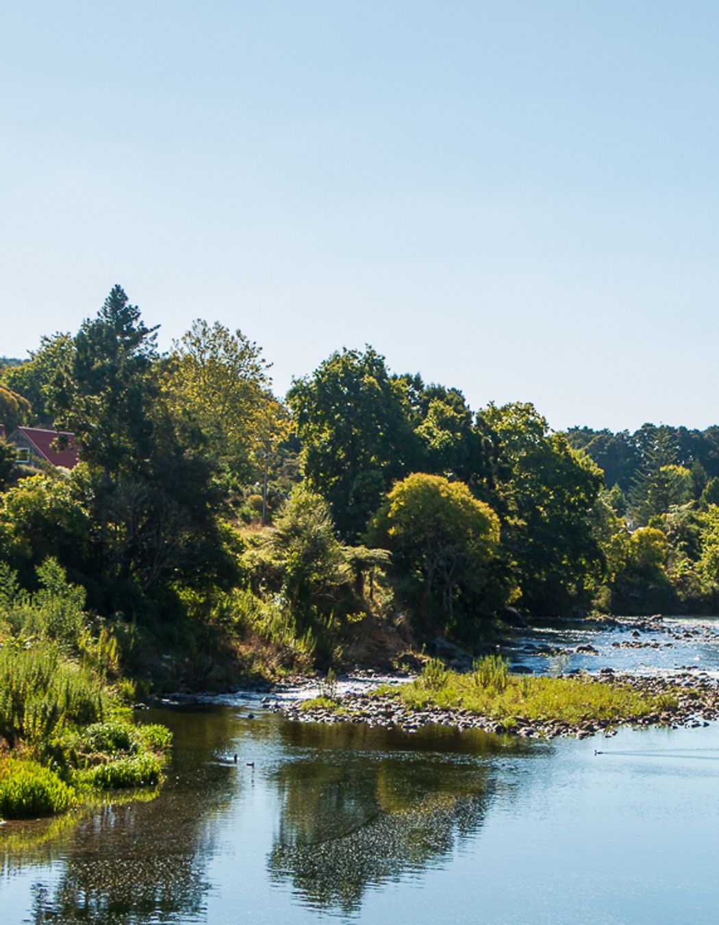 Karangahake-Gorge-1.jpg