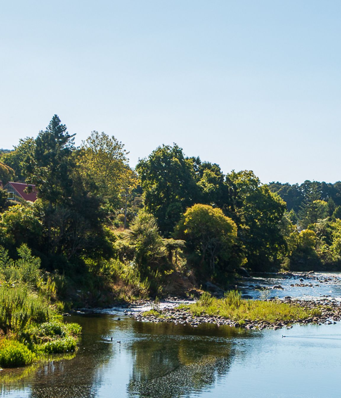 Karangahake-Gorge-1.jpg