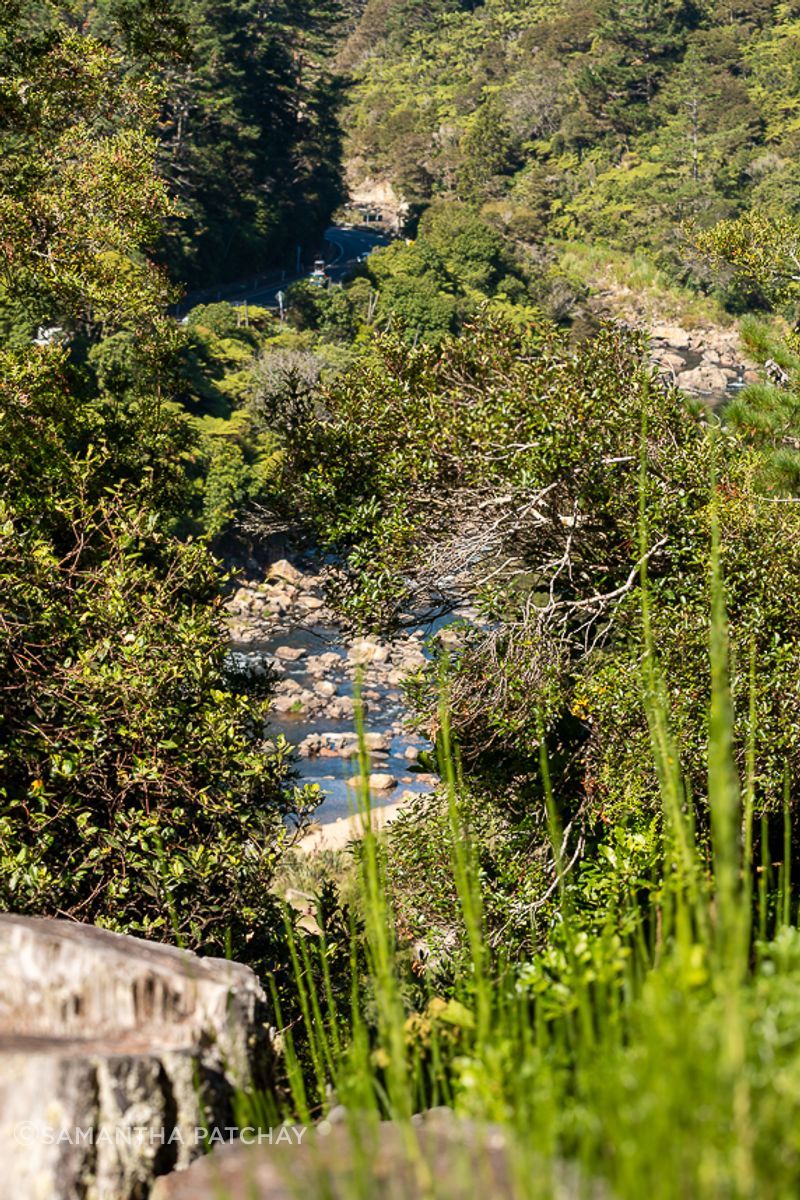 Karangahake-Gorge.jpg