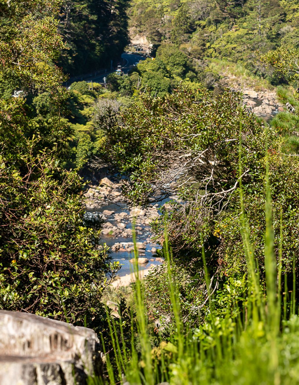 Karangahake-Gorge.jpg