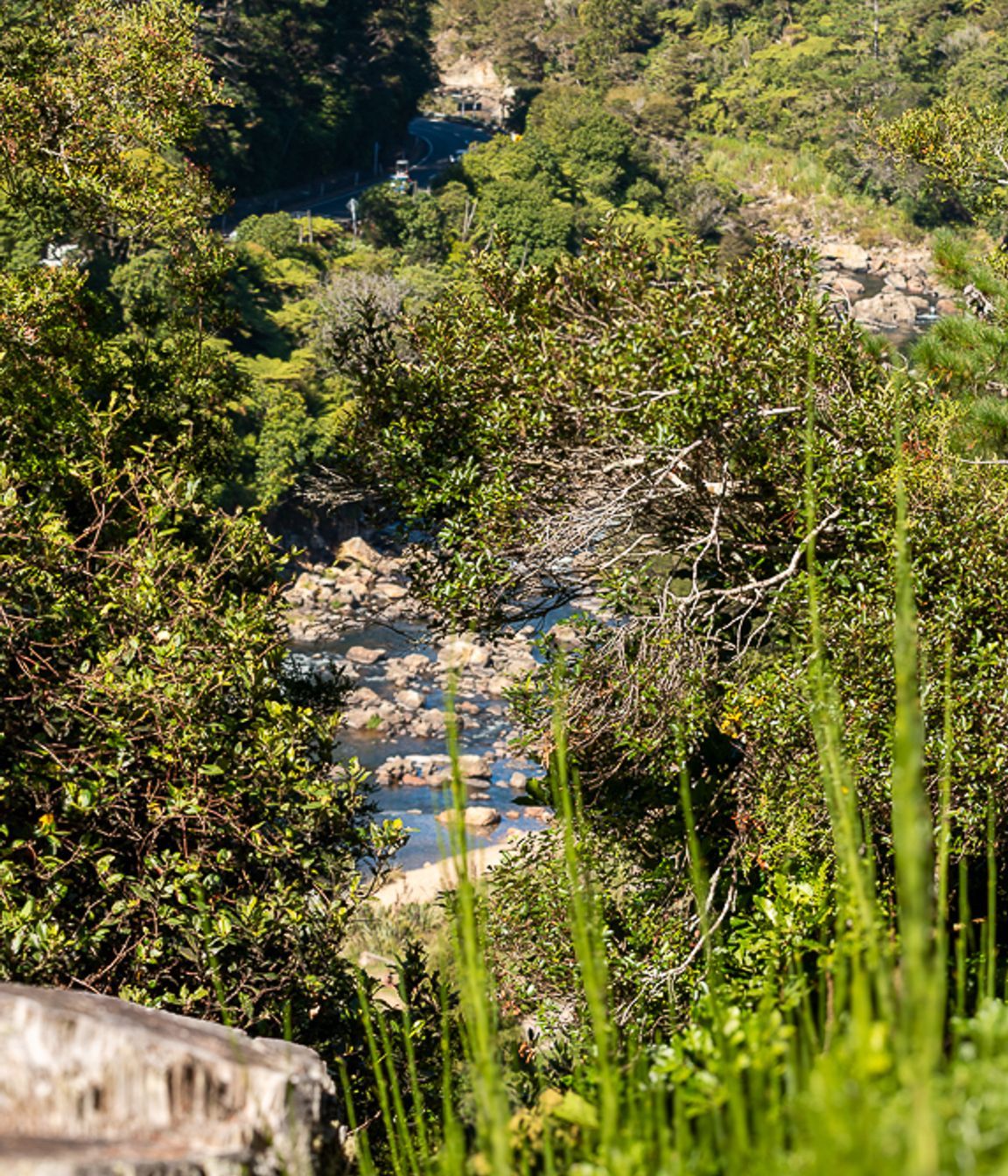 Karangahake-Gorge.jpg