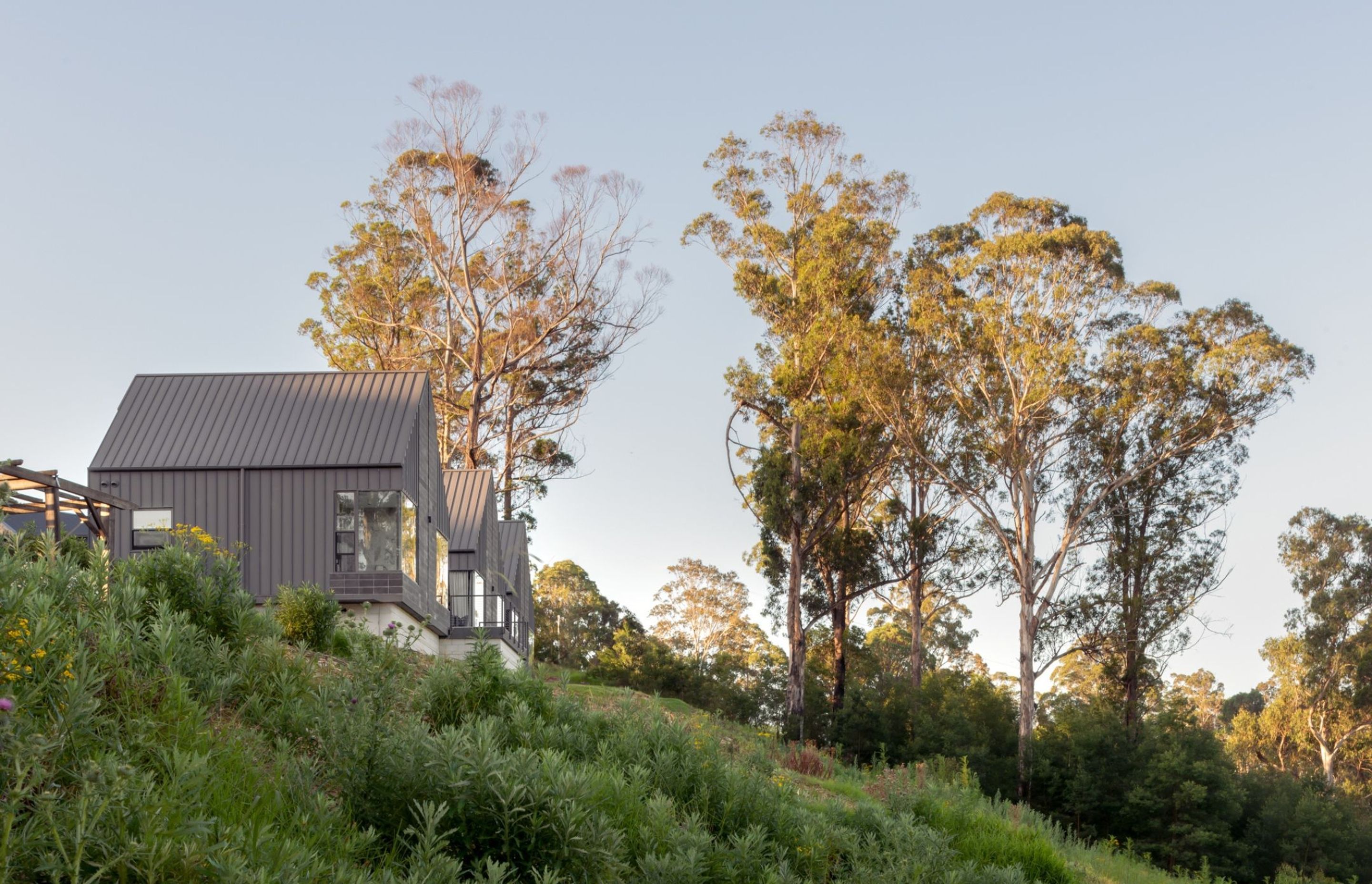 Kiah-Exterior-web-17-BN-Website-Project-Gallery-Landscape-image-specs.jpg