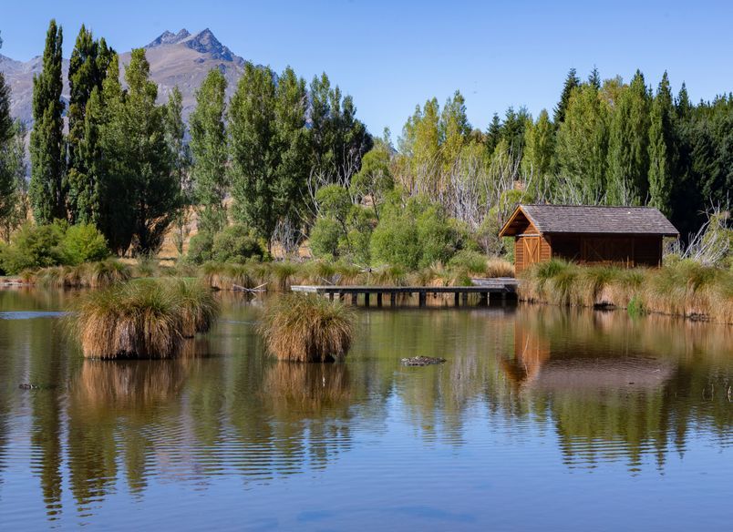 Mooney Road Queenstown | White Fang