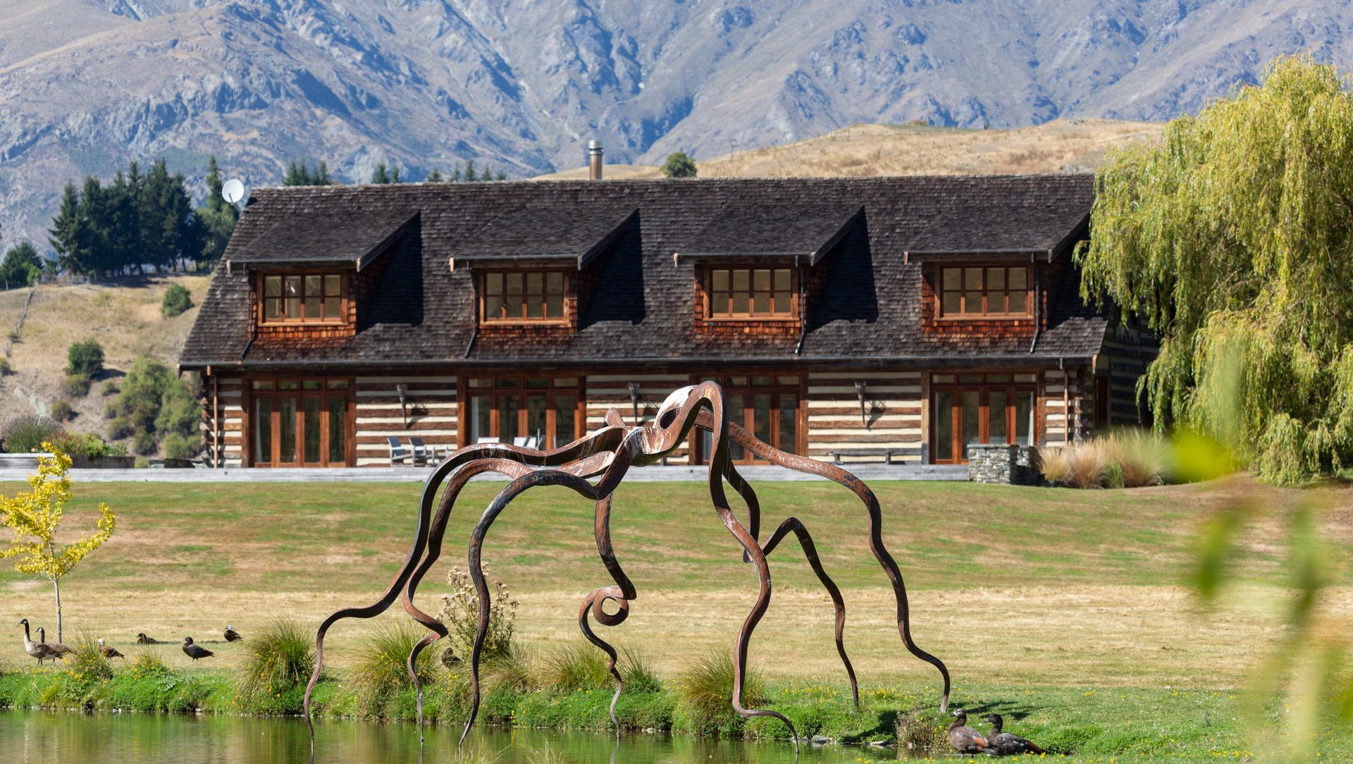 Mooney Road Queenstown | White Fang banner