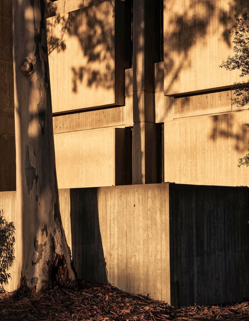 Brutalist