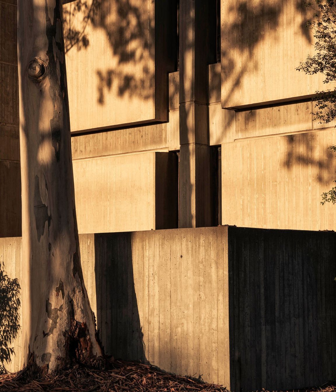 Brutalist