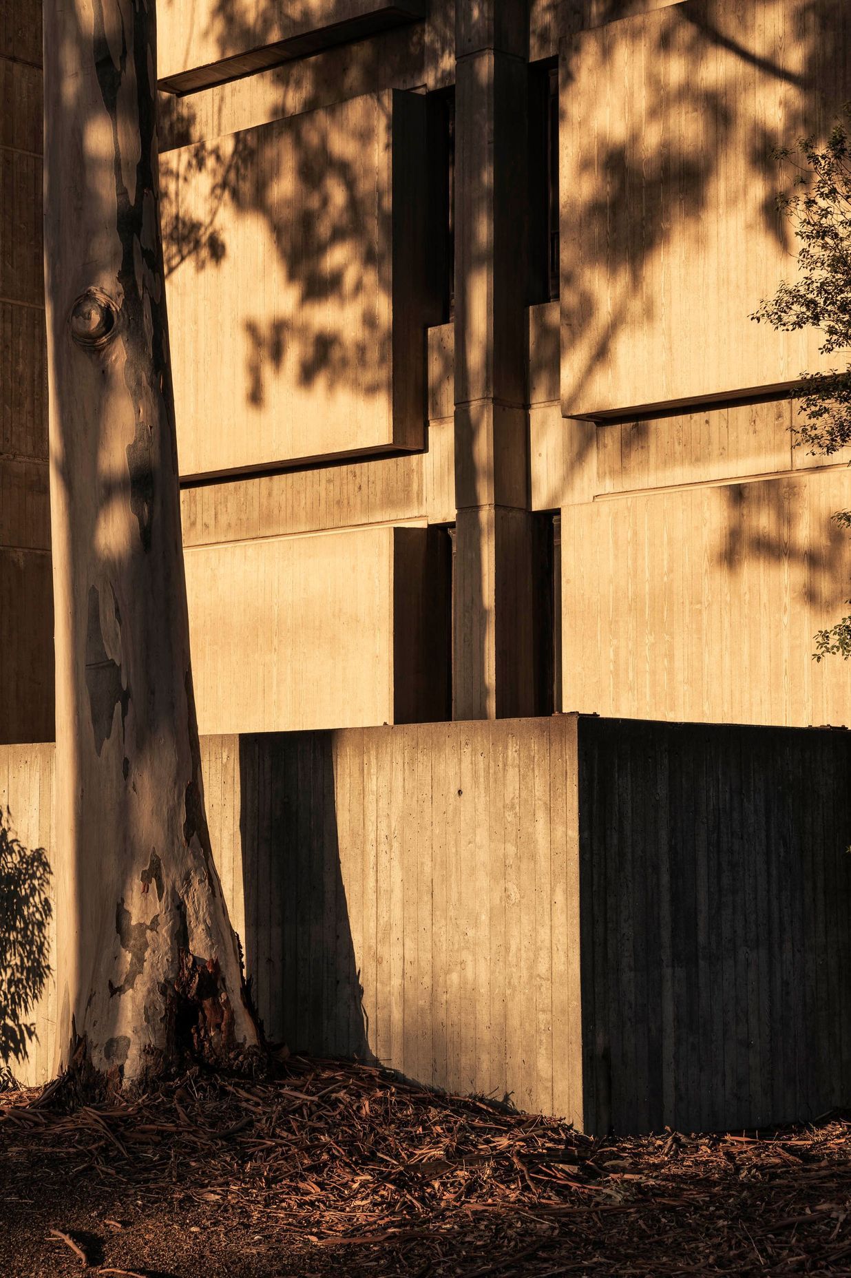 Brutalist