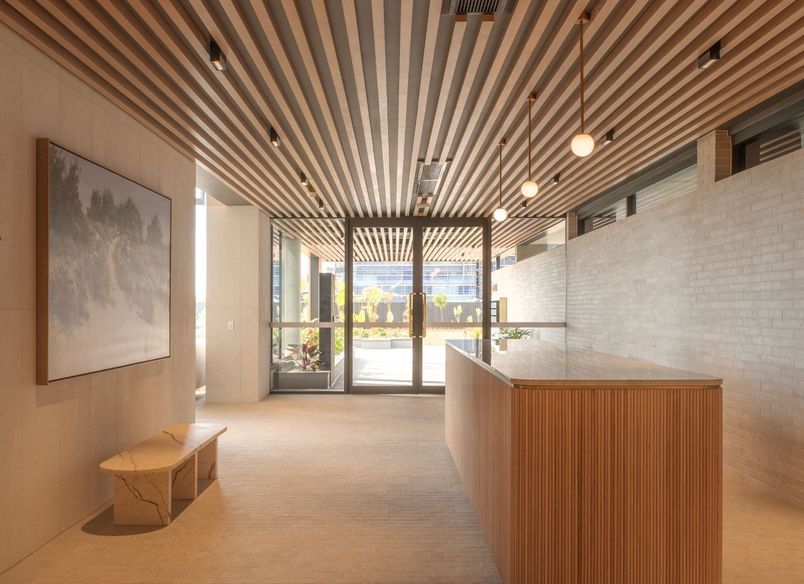 The Cove ‘Corsica’