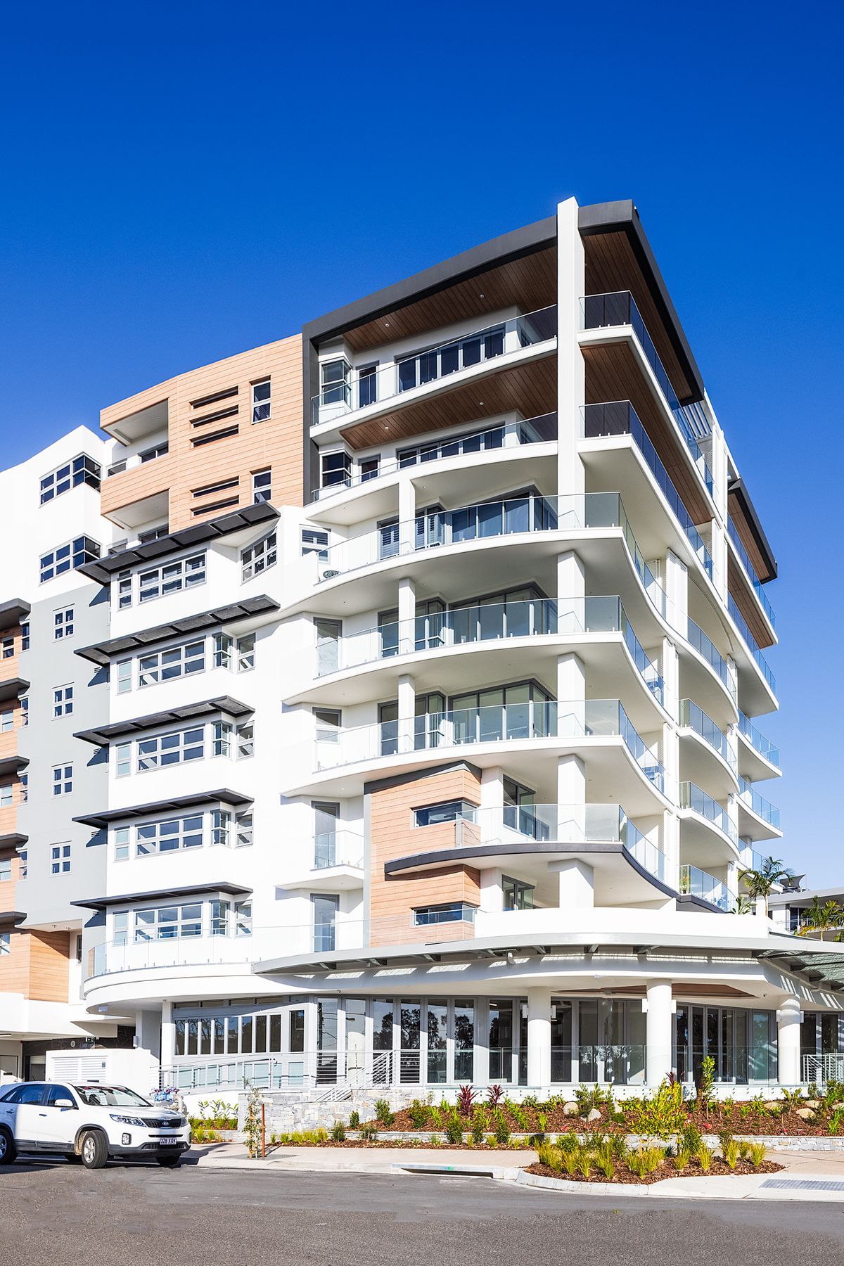 Essence Cotton Tree