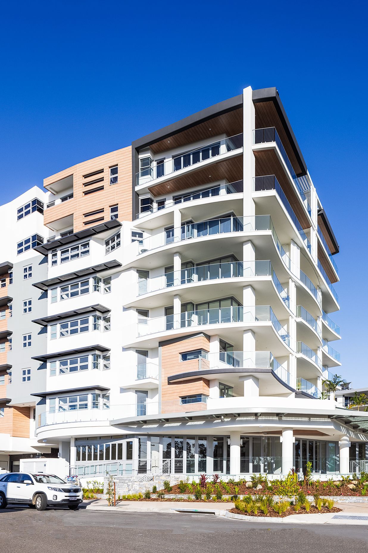 Essence Cotton Tree