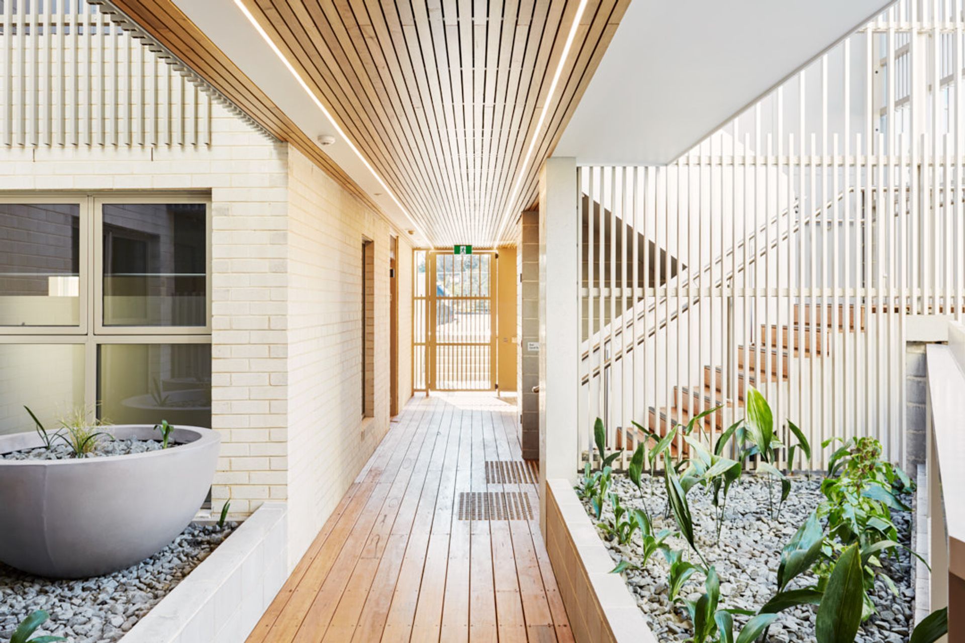 Photography: Rebecca Newman