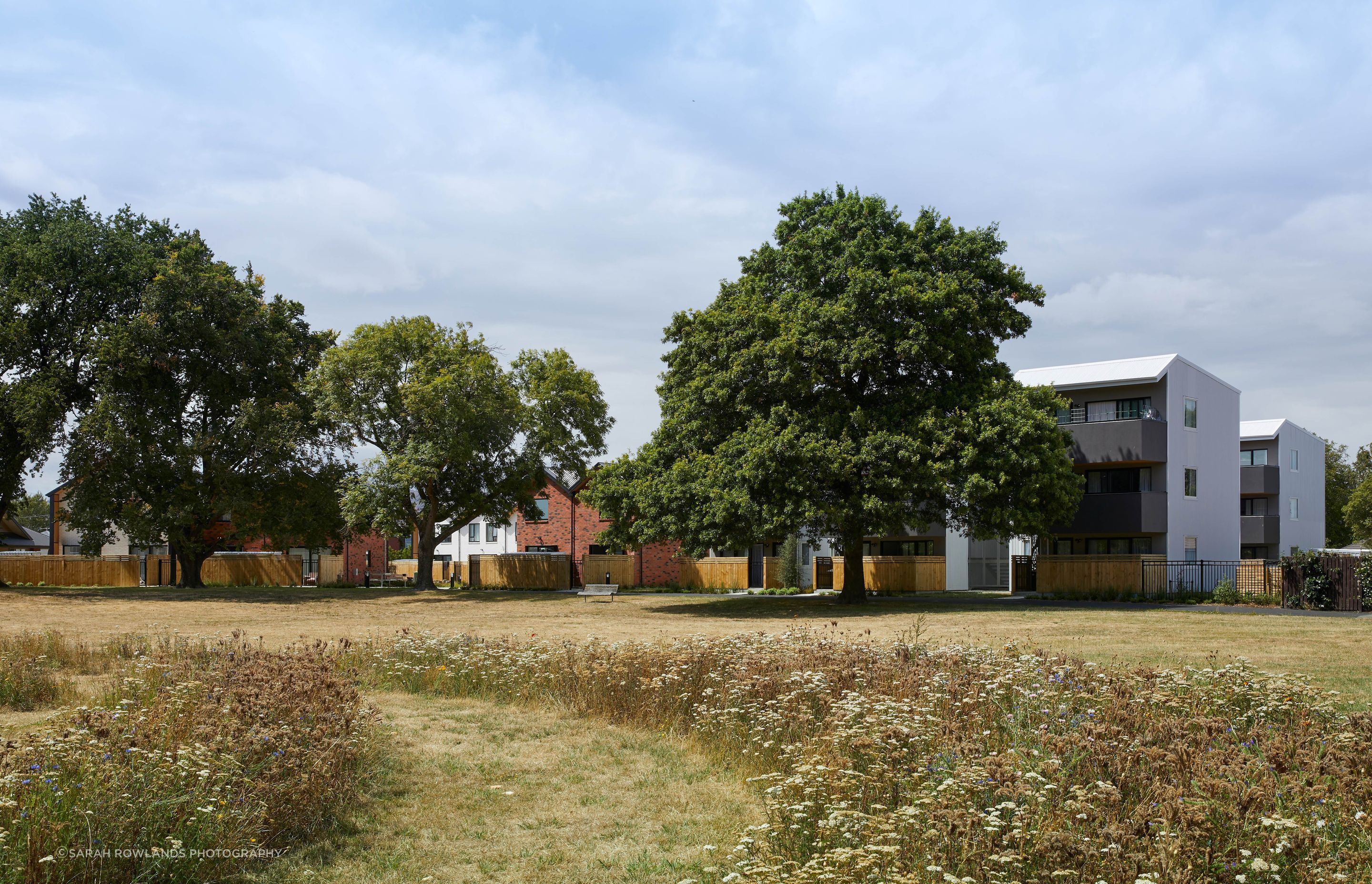 2-Willard-StPark-Sarah-Rowlands2.jpg